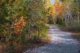 Cedar Grove Trail_23483